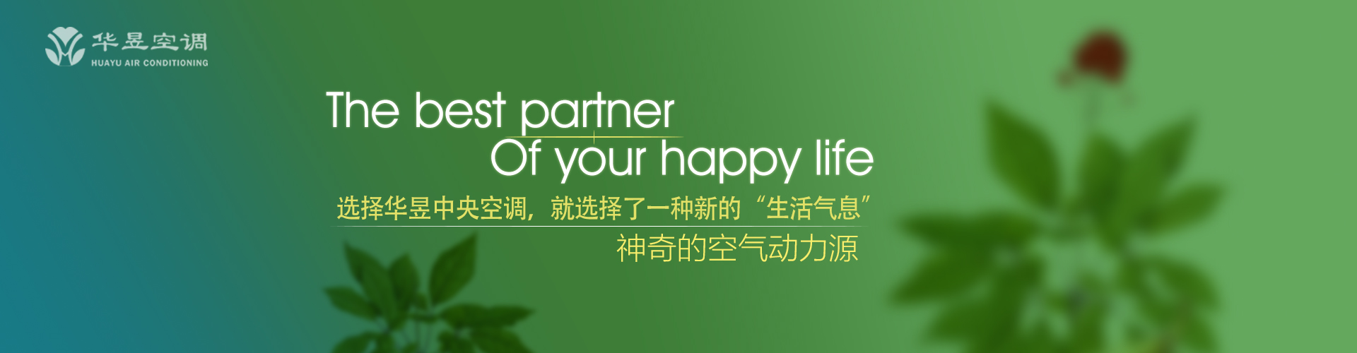 剑及履及网